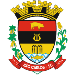 Sao-Carlos.png